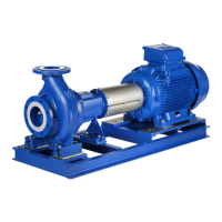 Preview: Lowara e-NSC Series