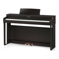 Preview: Kawai CN25