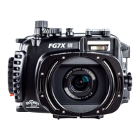 Preview: Fantasea Line 13833