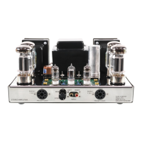 Preview: tubes4hifi VTA ST-120