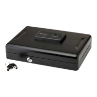 Preview: Hornady Security 95432