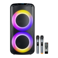 Preview: Timo Audio T800