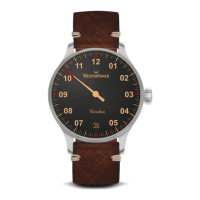 Preview: MeisterSinger Circularis