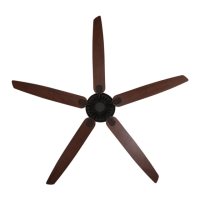 Preview: Early Settler 90009804