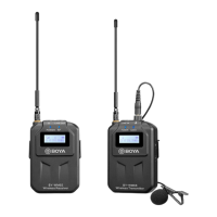 Preview: Boya BY-WM6S