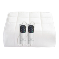 Preview: Dreamland R9005