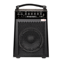 Preview: Traynor Small Block 106