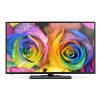 Preview: PROCASTER 43 A920 H