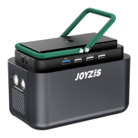 Preview: JOYZIS BS100