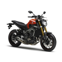 Yamaha MT09