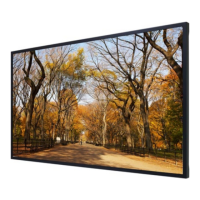 Preview: Diamondview DV55 RM5