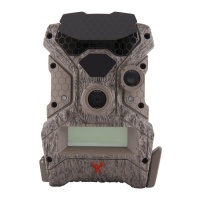 Preview: Wildgame Rival