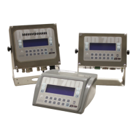 Preview: Bilancial BTEK DD 700