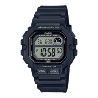 Preview: Casio 3511