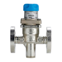 Preview: Spirax Sarco SRV2S