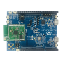 Preview: Realtek Ameba-ZII DEV