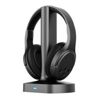 Preview: Brookstone BKH500