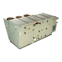 Preview: Trane Horizon OAKD