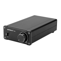 Preview: AIYIMA AUDIO A04