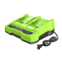 Preview: GreenWorks CAG801