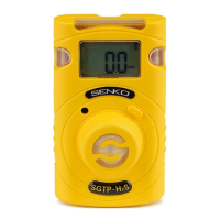 Preview: SENKO SGT-P