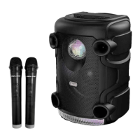 Preview: Vocal-Star VS-PPA