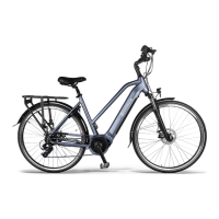 Preview: Accolmile 700C