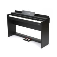 Preview: TechnoPiano TP300 C