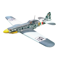 Preview: Nexa MACCHI MC 205