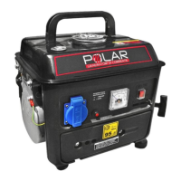 Preview: Polar Electro LT950DC