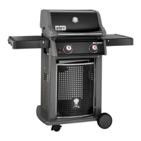Preview: Weber 210 CLASSIC