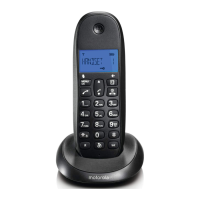 Preview: Motorola C1L