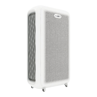 Preview: b-mola BM300