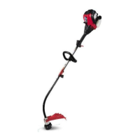 Preview: Troy-Bilt TB539 ES