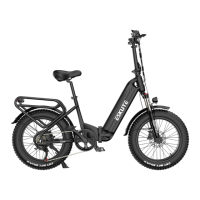 Preview: ESKUTE Star