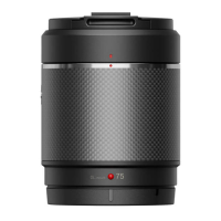 Preview: dji DL LENS