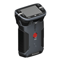 Preview: Riedel Bolero Beltpack