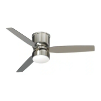 Preview: OSSA CF2001-N