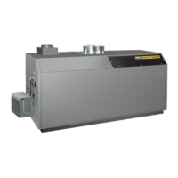 Preview: Laars MIGHTY THERM2