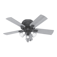 Preview: Hunter Postman