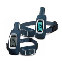 Preview: Remote Trainer Lite 100 m