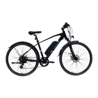 Preview: wayscral ANYWAY E-100