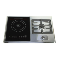 Preview: True Induction TI-1 G