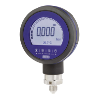 Preview: WIKA CPG1200