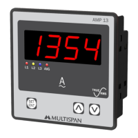 Preview: MULTISPAN AMP 13