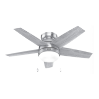 Preview: Hunter Alexander 51939