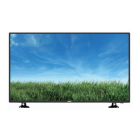 Preview: RCA RLED4910