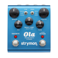 Preview: Strymon Ola