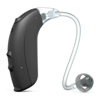 Preview: Beltone Rely 76