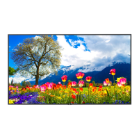 Preview: NEC MultiSync M981